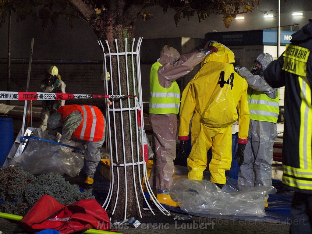 Saureaustritt Koeln Loevenich Daimlerstr P423.JPG